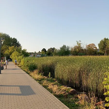 Vadrózsa, Privatgarten Mit Seeblick