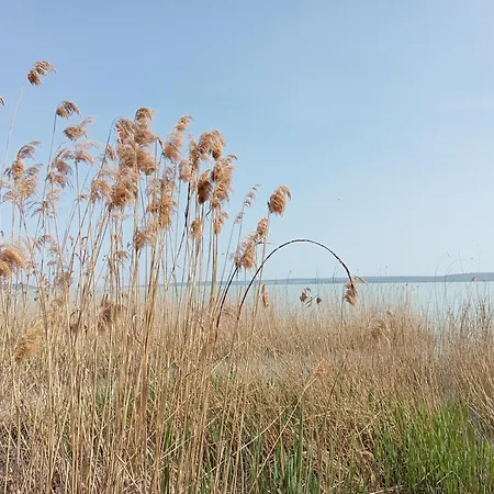 Vadrózsa, Privatgarten Mit Seeblick *