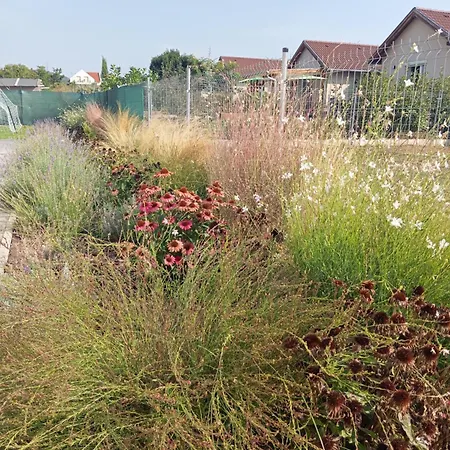 Vadrózsa, Privatgarten Mit Seeblick *
