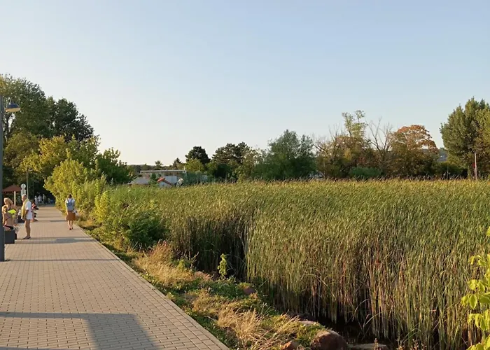 Vadrózsa, Privatgarten Mit Seeblick