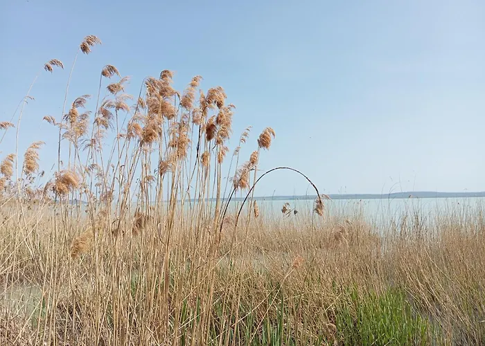 Vadrózsa, Privatgarten Mit Seeblick *