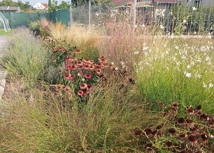 Vadrózsa, Privatgarten Mit Seeblick *