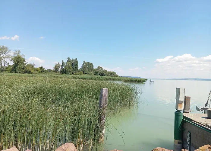 Vadrozsa, Privatgarten Mit Seeblick ヴィラ バラトンアカリ
